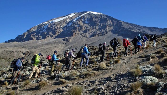 kili trekking CHDO